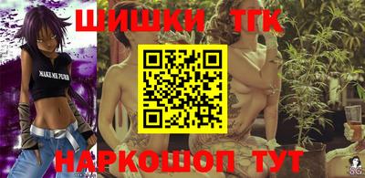 индика Аргун